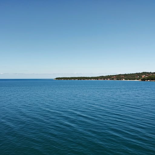 Vista previa landing dental